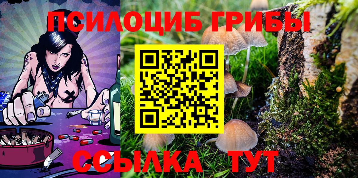 Галлюциногенные грибы Psilocybine cubensis  где купить   Вход с VPN  Владикавказ  Галлюциногенные грибы Psilocybine cubensis 